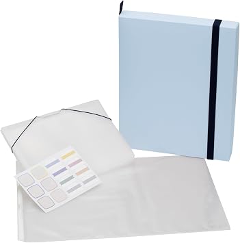 CRAY-PAS Storage Box for Artwork and Memories Large Four-Cut Light Blue Limited Edition TFX-L#125