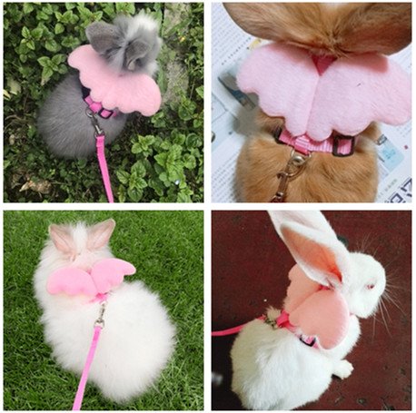 Image of Hypeety Rabbit Harness and Leash Set Escape Proof - Adjustable Bunny Vest Harness for Rabbits with Cute Angel Wings Design (Pink)