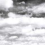  Plume (Original Mix)