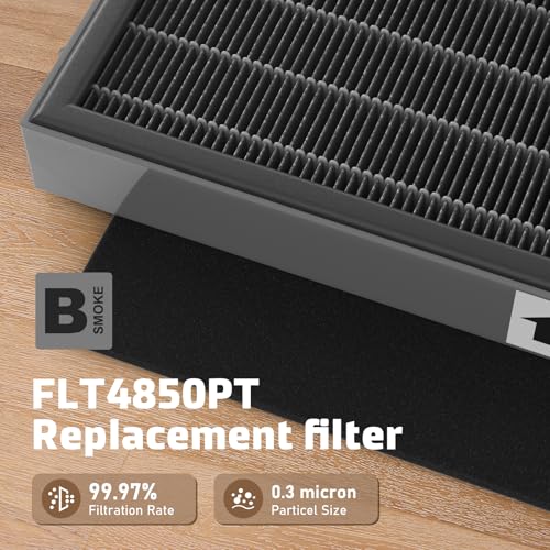 Filter B Smoke Clear HEPA Replacement Compatible with AC4825 AC4300 AC4800 AC4900 AC4850, 4 True HEPA Filters & 12 Activated Carbon Pre-Filters, FLT4825SM, Black/Gray