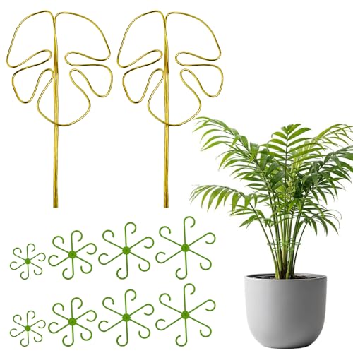 Kleemeiero Pflanzenstütze 2er Set Rankhilfe Monstera mit 8 Stück Pflanzenhalter Staudenhalter Wiederverwendbarer Pflanzen Stütze Vielfältige Stängelstütze für Alocasia Monstera Blume Hortensien Rosen