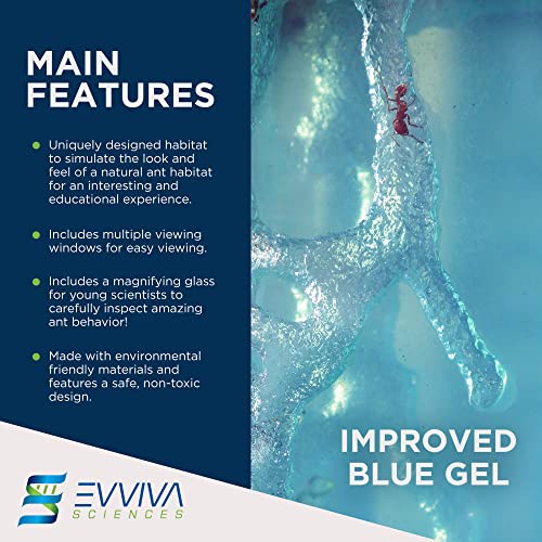 Evviva Ant Habitat W/Led Light. Enjoy A Magnificent Habitat. Great For Kids & Adults. Evviva Ant Ecosystem W/Enhanced Blue Gel. Educational & Learning Science Kit. Live Ants Not Included #TOP2