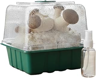 King Oyster Countertop Mushroom Grow Kit | Spray & Grow Kit with Mini Greenhouse | Non-GMO, Beginner Friendly & Easy to Use | Grow Your Mushrooms at Home | Made in The USA