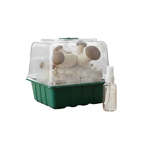 King Oyster Countertop Mushroom Grow Kit | Spray & Grow