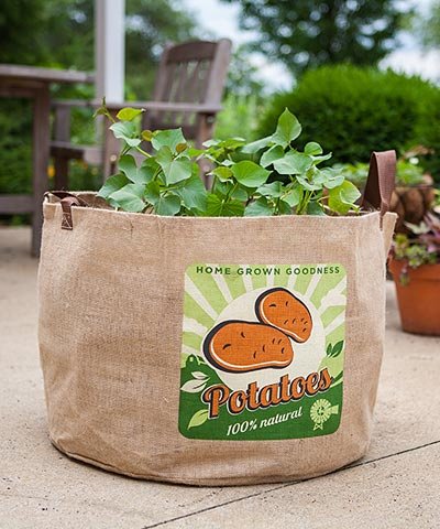 Grow Bag 30 Gal Burlap Potato Desertcart Cyprus