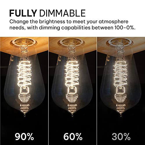 image for HUDSON BULB CO. Vintage Incandescent 60W Edison Light Bulbs (4 Pack) -