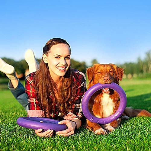 Ferplast Hunde Spielzeug, Hundetraining Ring zum Kauen, zum Laufen, Springen, Schießen, Ungiftig, Schwimmend, Puller Standard, Hundespielzeug für mittelgroße und große Hunde, Set mit 2 Fitness Ringen