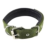 Teendow Military Green Nylon Dog Collar, Soft Padded Adjustable Pet Collar with Metal Buckle & D-Ring for Small Medium Large Dogs