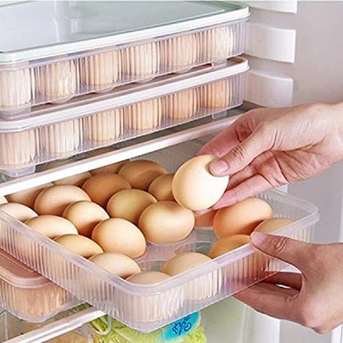AFXOBO 24 Grids Eggs Box for Refrigerator, Eggs Storage Container Eggs Tray Storage Box with Lid for Kitchen Fridge