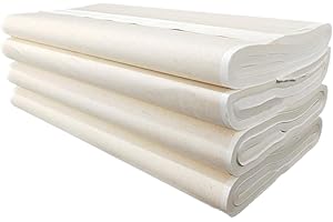 MEGREZ Xuan Paper for Authentic Asian Calligraphy and Painting