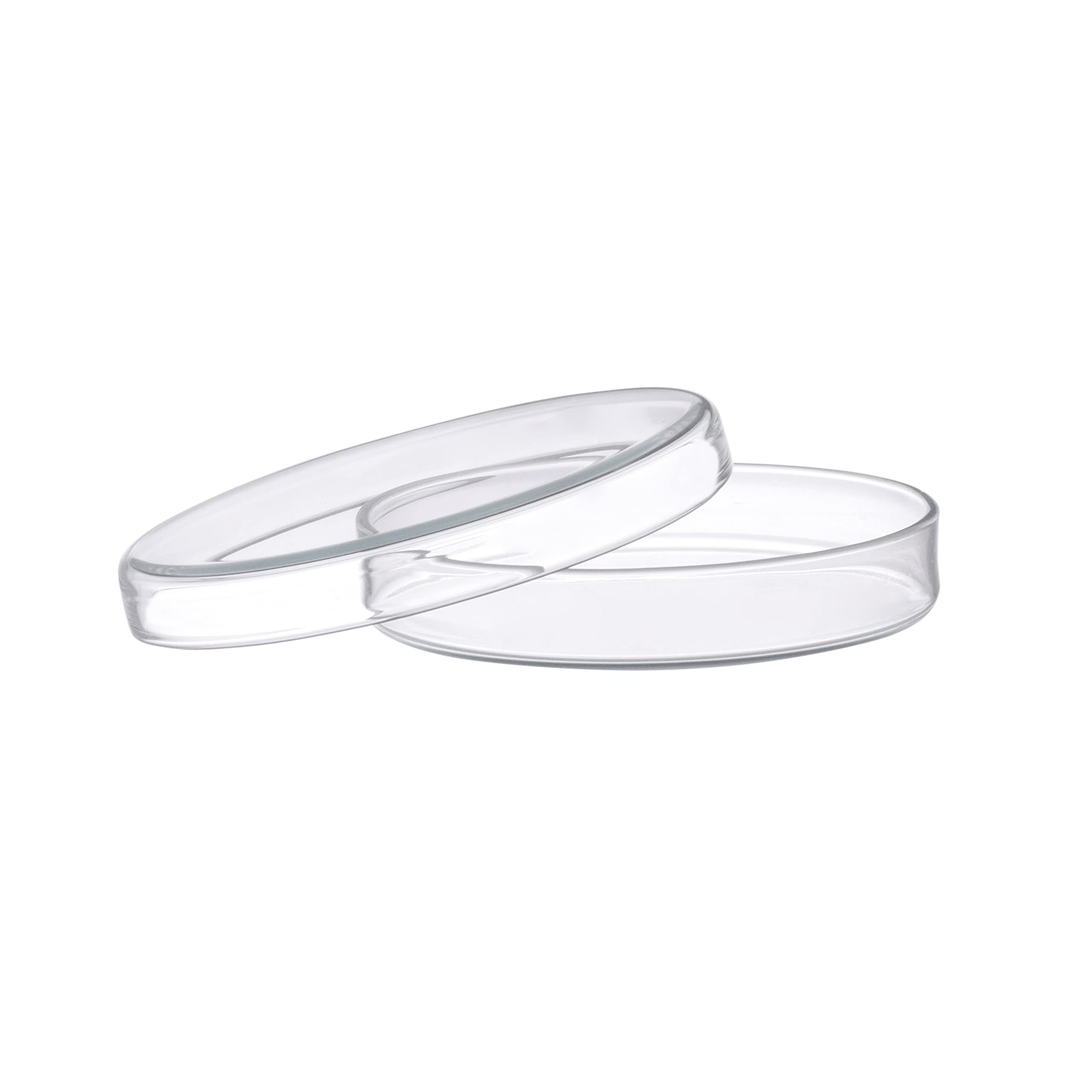 EISCO Petri Dish, 200 mm, bordes perlados, fácil de esterilizar para uso repetido, vidrio de soda