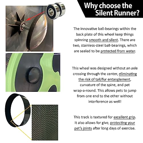 Exotic Nutrition - Roda de exercício + suporte + acessório de gaiola (brilha no escuro) para hamster