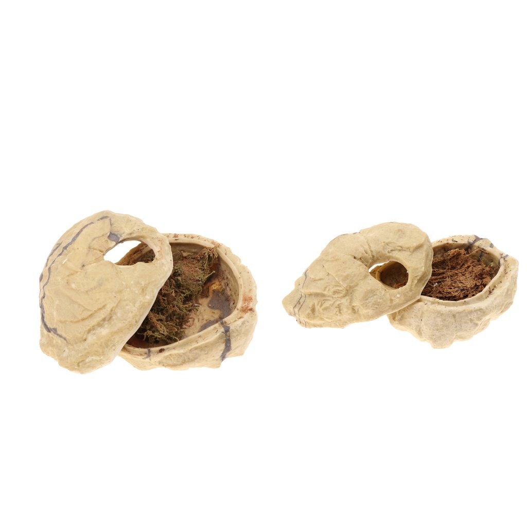 Set di 2 grotte nascoste in resina per rettili con coperchio, decorazione ornamentale a forma di tartaruga a forma di pesce