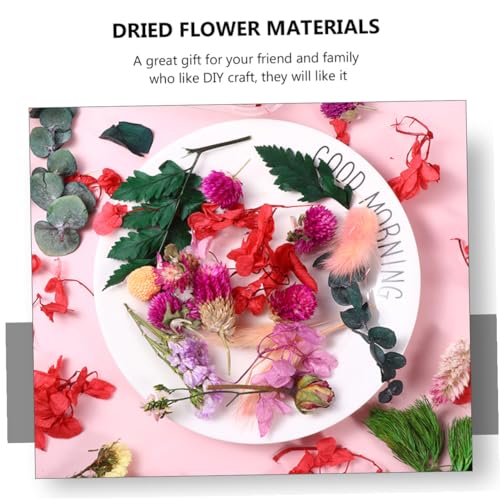 6 Cajas de Flores Secas Naturales para Manualidades miniatura 7