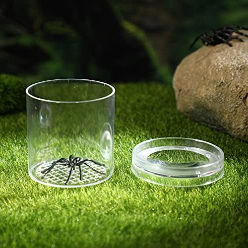 POPETPOP Vacuum Cleaner Toy Lizard Terrarium 6Pcs Magnifying Viewer Box - Mini Viewer Critter Cage Box Container, Kids Science Nature Exploration Tools Small Terrarium Kids Outdoor Toys 6