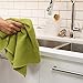 Now Designs Ripple Dish Towel, Set of 2, Cactus Green