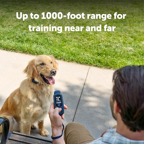 PetSafe Core Dog Trainer Remote Collar, 1000 Ft Range, 15 Static Levels | Tone/Vibration//15 Levels of Static, Waterproof Collar, 1000-Ft Range for Off-Leash Obedience Training - image 7