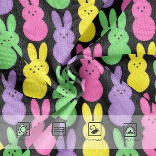 Boys' Exclusive Briefs Toddler Underwear 95% Combed Cotton Boxerbriefs 2T Multicolored Rabbit Pattern 143