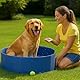 Pool für große und kleine Hunde, 100 x 30 cm, abnehmbare Pools, Haustierpool, Hartpool, Hundebad, Hundebad, Kühlung für Haustiere, Hunde, Sommer