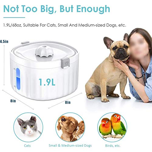 Fuente de agua automática para gatos y perros 1.9L miniatura 5