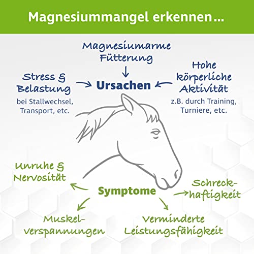 Magnesium für Pferde VitPet+ Magnesiumcitrat Unterstützung für Muskulatur und Nervensystem
