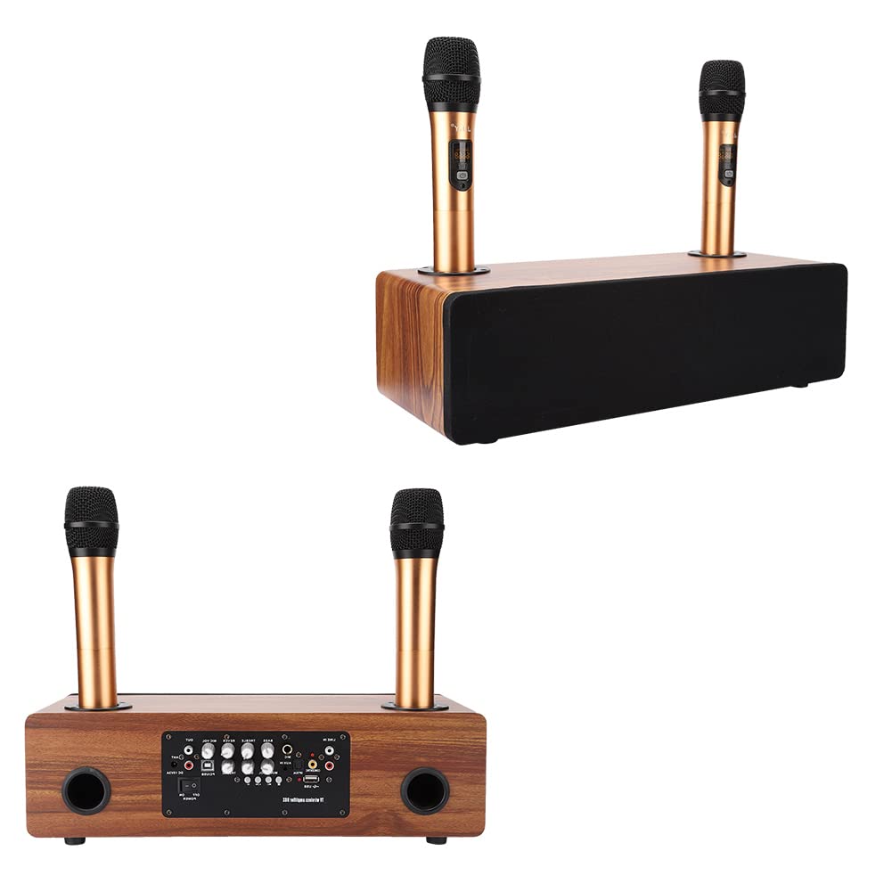 DAUERHAFT Home KTV Set, Karaoke Machine Bluetooth 5.0 with 2 Wireless Microphone for DVD VCD, CD, LD