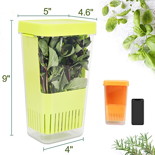 Image of LUVCOSY Fresh Herb Keeper for Refrigerator, Clear BPA-Free Herb Saver, Storage Container for Cilantro, Parsley, Thyme, Mint & Asparagus, Preserver Keeps Fresh Herbs for 3 Times Longer, Green & Orange