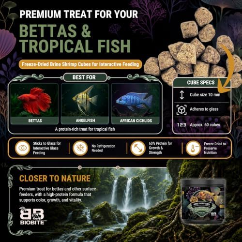 Biobite Brine Shrimp Cubes - Freeze-Dried Protein Treat for Tropical Fish - 1