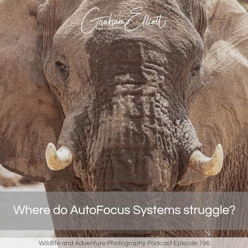 Where does AutoFocus struggle?