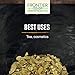 Frontier Co-op Uva Ursi Leaf, Cut and Sifted, Certified Organic, Kosher | 1 lb. Bulk Bag | Arctostaphylos uva-ursi (L.) Spreng.