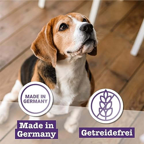 Chewies Fleischstreifen Mini aus 100% Ziege - 70 g - Fleischstreifen für Hunde - getrocknete Ziegenfleisch Kaustreifen - hypoallergen & getreidefrei - Dörrfleisch von der Ziege