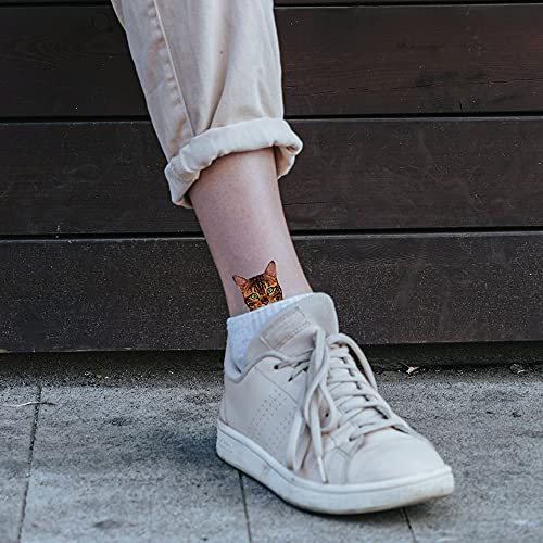 Wirester Temporary Tattoo Stickers For Girls Boys Kids Adults, Fake Tattoos On Face Hand Neck Wrist Party Favor Body Art, Tattoo Sheet 6 X 7.87 Inch - Cat Designs (Tuxedo, Tabby Kitten, Ragdoll Cat) #TOP4