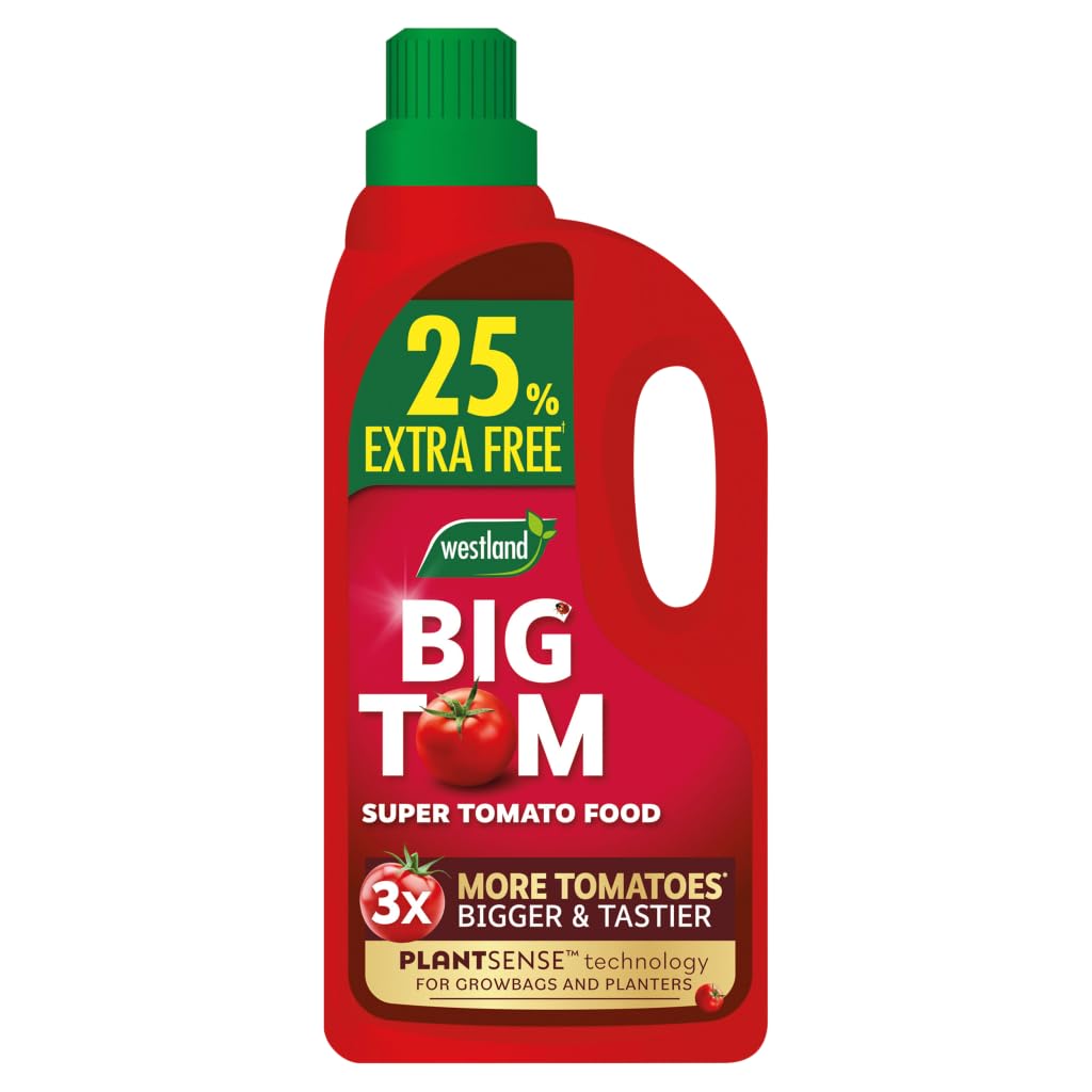 Westland Big Tom Tomato Food 1L + 25% Extra Free (20100513)