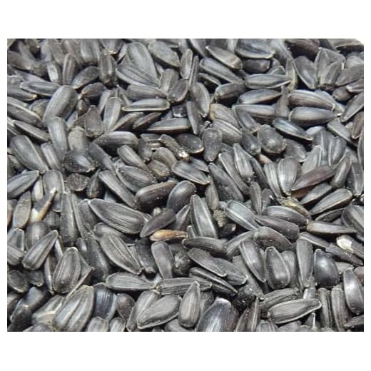 Bird`s Garden Sonnenblumenkerne schwarz 10 kg, Vogelfutter, Winterfutter,