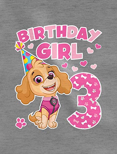 Tstars Time Flies Skye 3rd Birthday Gift Toddler Kids T-Shirt Paw Patrol Birthday Girl Shirt2