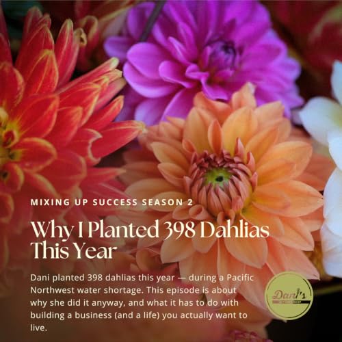 Why I Planted 398 Dahlias This Year