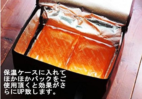 保冷バッグは保温効果があるの 冬でも使える裏ワザ教えます 保冷バッグは保温効果があるの 冬でも使える裏ワザ教えます