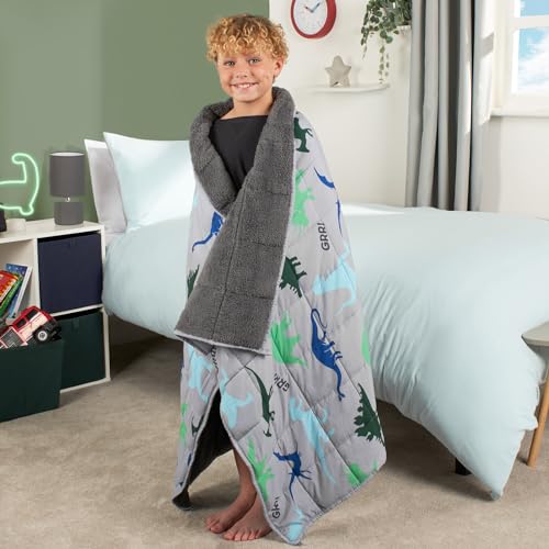 OHS Teddy Fleece Weighted Blanket for Men 3kg Dino Grey, Heavy Weighted Blanket Double Calming Stress Relief Anti Anxiety Blanket for Adults Gift for Him Her
