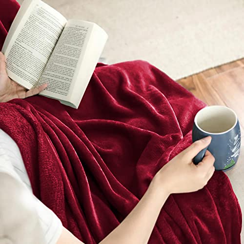 IR Imperial Rooms Fleece Blanket Throws for Sofas - Image 3