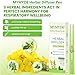 MYMYDE Herbal Mullein Diffuser Pen -Thyme & Mint Extract-Designed for Lung Detoxification and Oral Freshness-Soothing Relaxation Sticks - Quit Smoking -Your Choice for Health and Aromatherapy