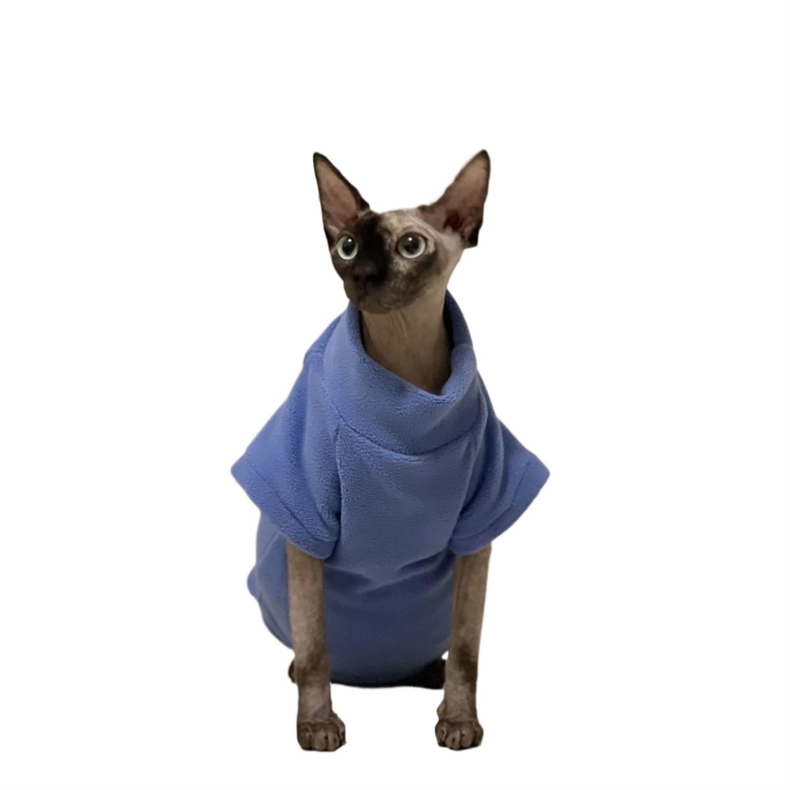 Amazon.co.jp: VOODUE スフィンクス猫 スフィンクス無毛猫セーター肥厚
