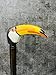 Wooden Toucan Head Engraved Carved Cane - Premium Wood Carved Walking Stick Cane with Ergonomic Palm Grip Handle - 36