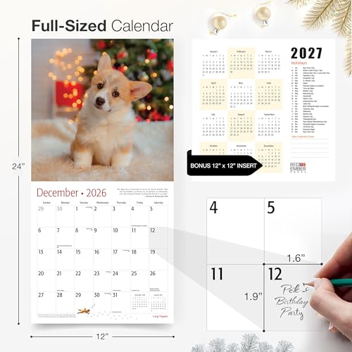 Image of RED EMBER Corgi Puppies 2026 Wall Calendar 12 Month | 12 inch x 24 inch Open | Thick & Sturdy Paper | Giftable | Cute Puppy Dog Calendar 2026