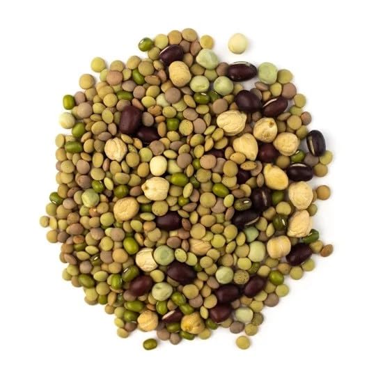 SkySprouts Organic Mixed Sprouting Bean Seeds, 1kg 1kg - NON-GMO |High Germination