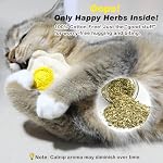 4-Pack Breakfast-Themed Loofah Cat Toys, Catnip Infused Natural Dental Chew Toys for Teeth Cleaning, Cute Teething Toys for Kittens & Indoor Cats - Image 4