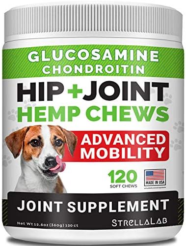 chewable dog joint supplement
