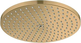 Raindance 04927250 Duschkopf in gebürsteter Gold-Optik, S Zoll