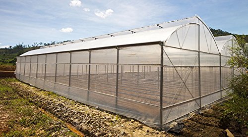Greenhouse Plastic Film Clear Polyethylene 6 Mil 4 Year Uv Resistant Cover (8 Ft Wide X 25 Ft Long) #TOP4