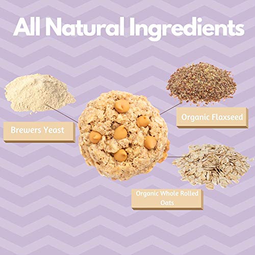 image for MilkBliss Lactation Cookies Mix- Oatmeal Peanut Butter Chip Breastfeed