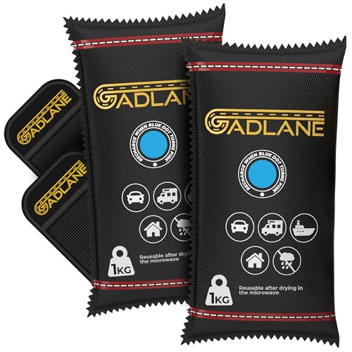 GADLANE Auto Luftentfeuchter 1kg 2 Stück - XL Großer Wiederverwendbarer Feuchtigkeitsabsorber Auto mit Anti-Rutsch-Matte - Beseitigt Kondensation für Windschutzscheibe, Zuhause